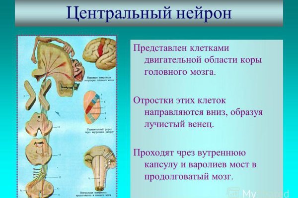 Кракен маркет даркнет только через торг