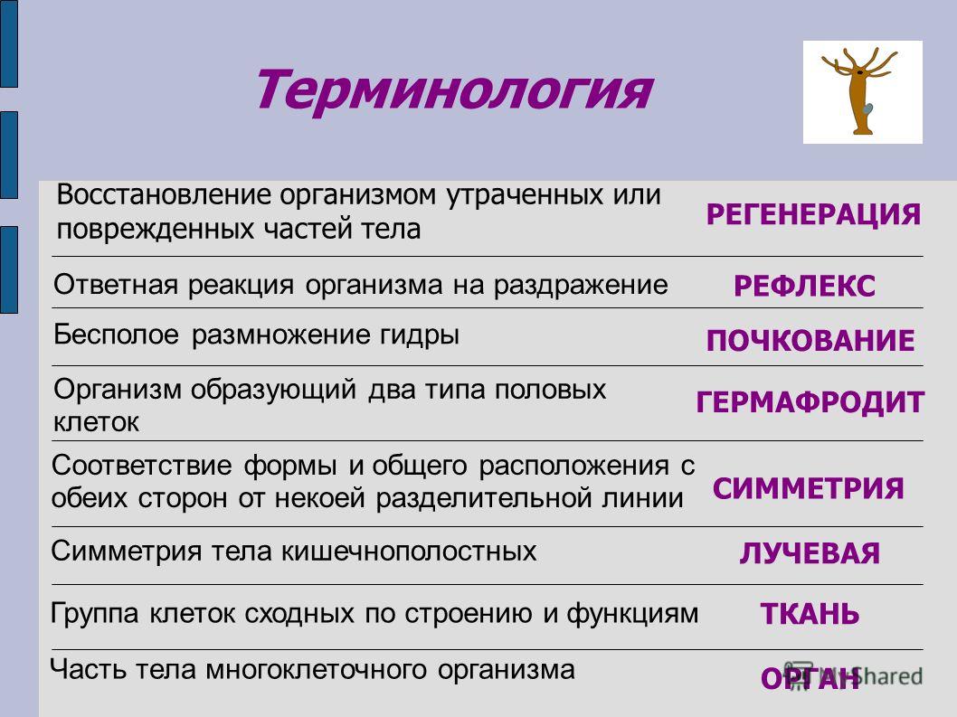 Кракен официальный сайт онион