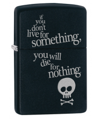 Зажигалка Zippo 29091 Black Matte